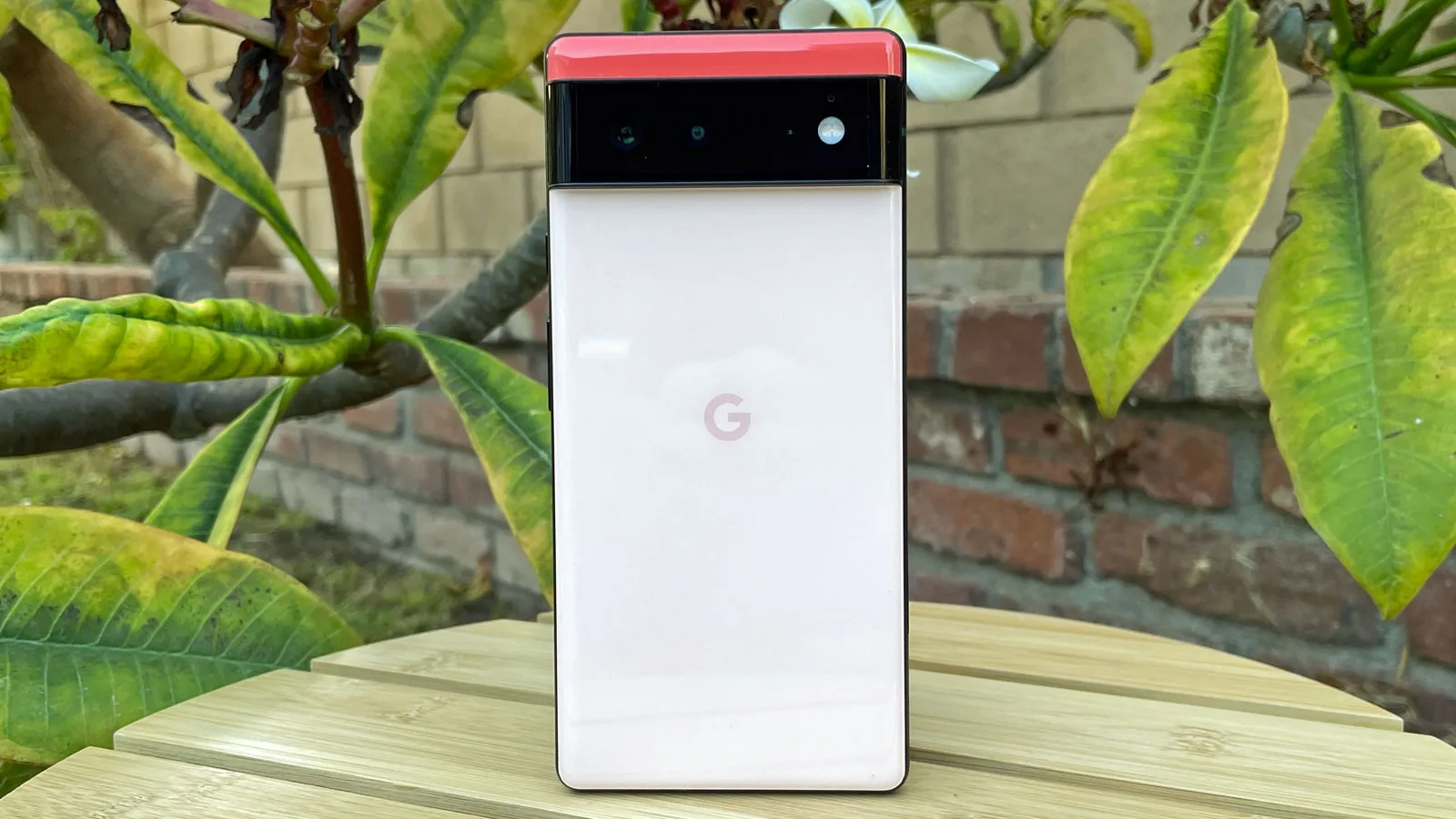 Pixel 6a Benchmark Raises Hopes For Google's Mid-Range Flagship